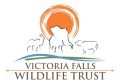 VFWTRUST Logo